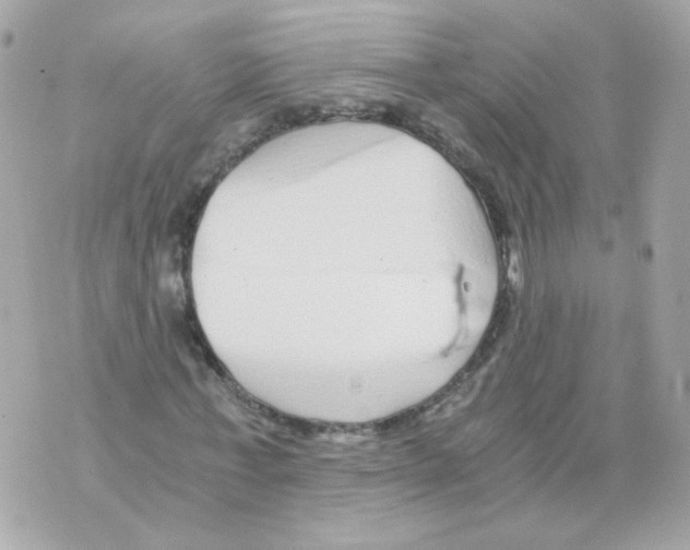 X0000069830771200606161939