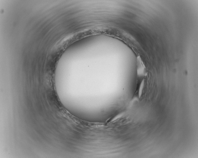 X0000069830773200606161939