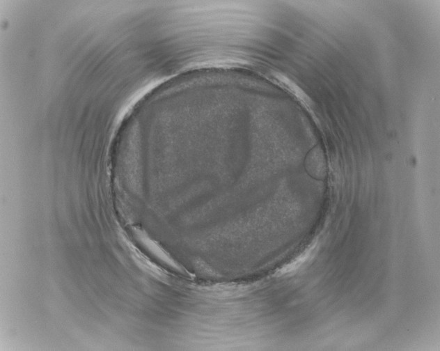 X0000069830779200606161939