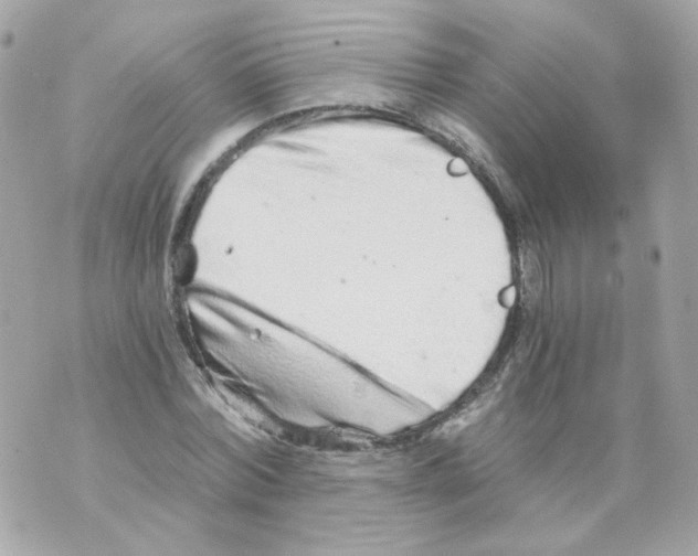 X0000069830780200606161939