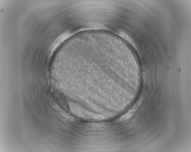 X0000069830781200606161939