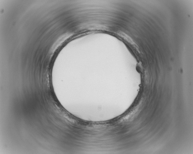 X0000069830782200606161939