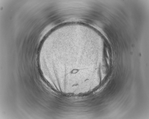 X0000069830783200606161939