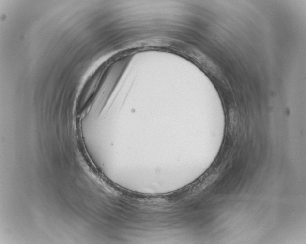 X0000069830784200606161939