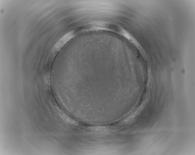 X0000069830785200606161939