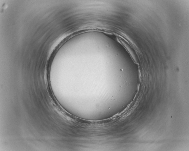 X0000069830788200606161939