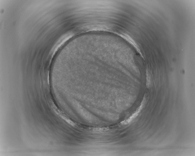 X0000069830790200606161939