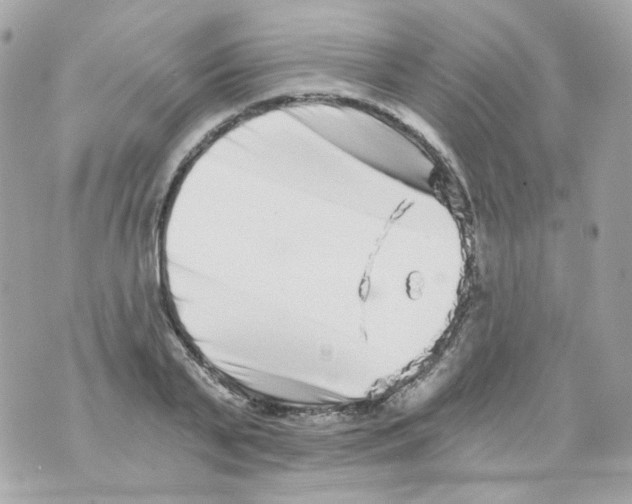 X0000069830791200606161939