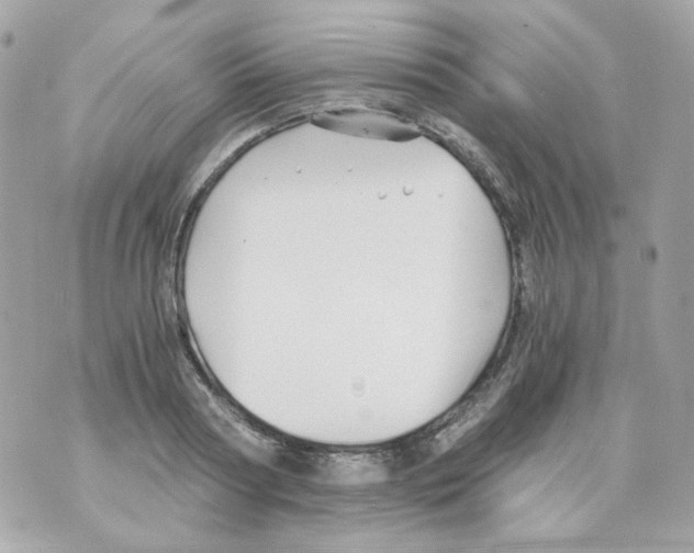 X0000069830794200606161939