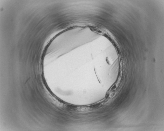 X0000069830795200606161939