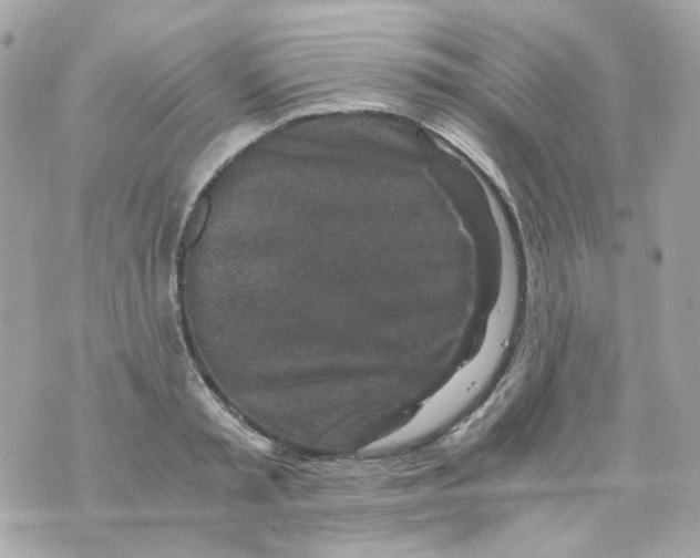 X0000069830797200606161939