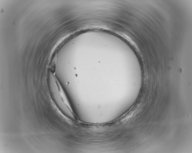 X0000069830799200606161939