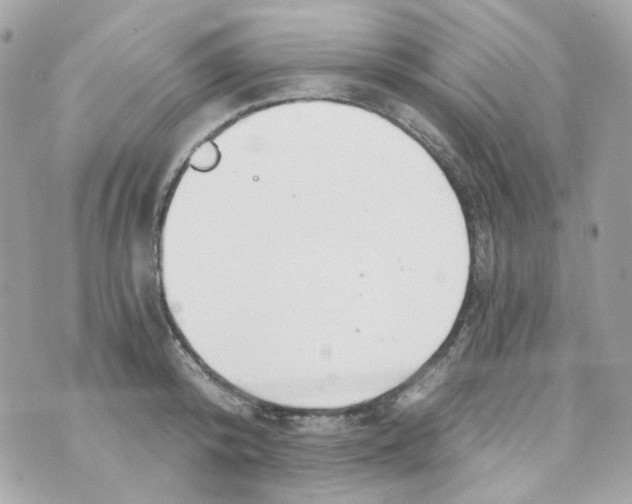 X0000069830800200606161939