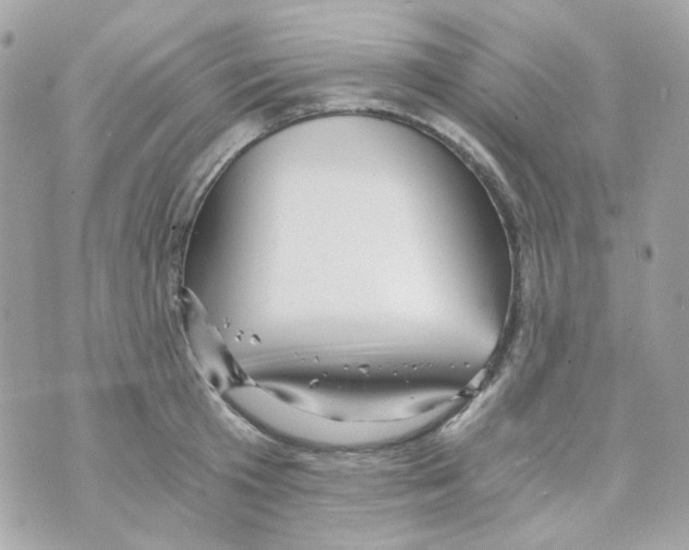 X0000069830801200606161939