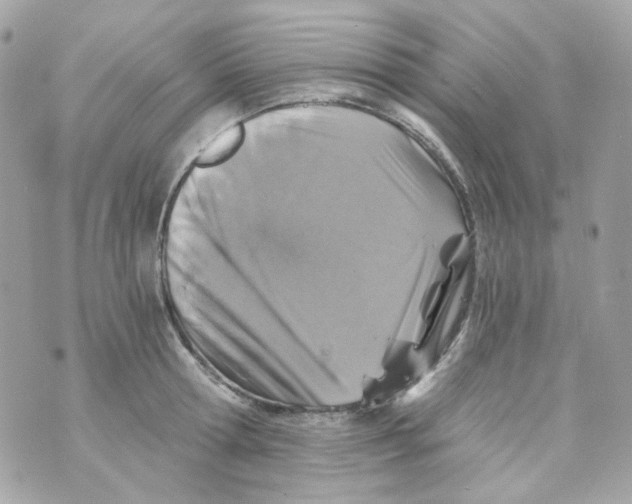 X0000069830802200606161939