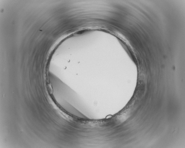 X0000069830803200606161939