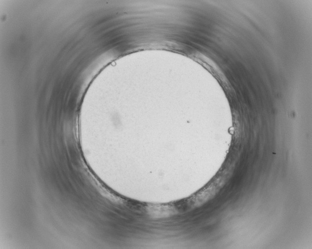 X0000069830804200606161939