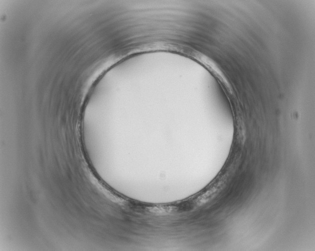 X0000069830805200606161939