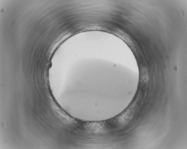 X0000069830806200606161939