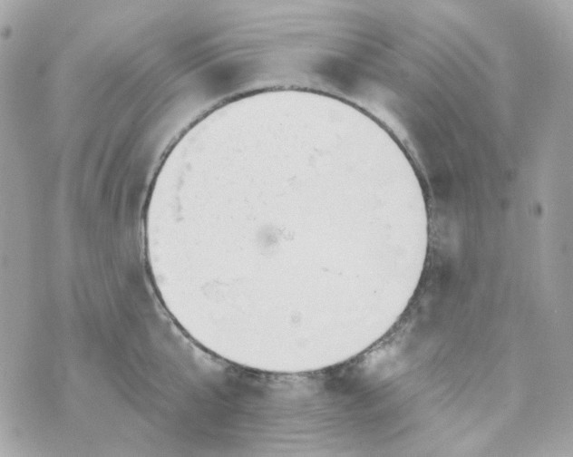 X0000069830807200606161939