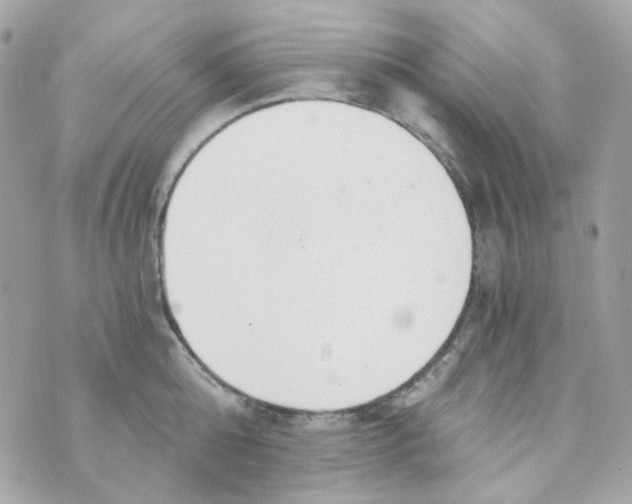 X0000069830808200606161939