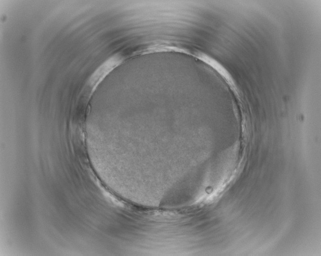 X0000069830809200606161939