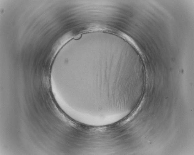 X0000069830810200606161939