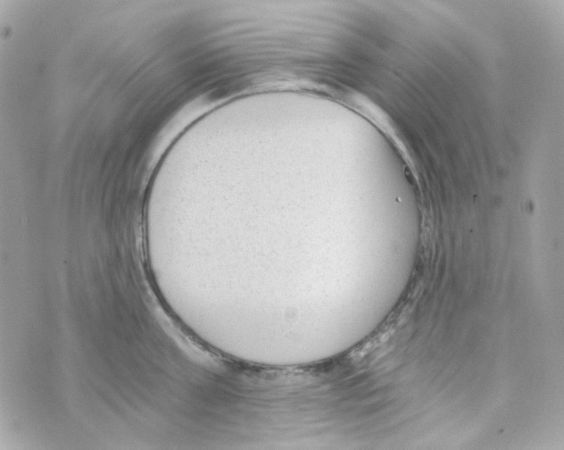 X0000069830811200606161939