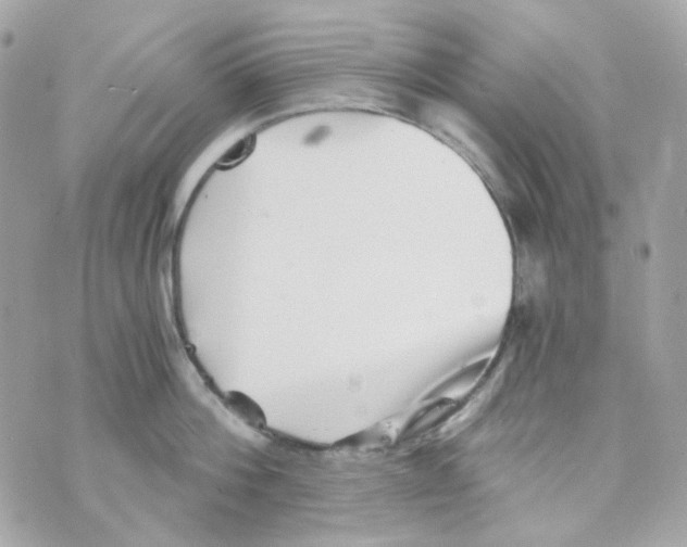 X0000069830812200606161939