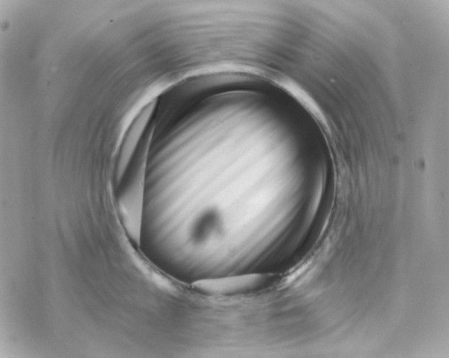 X0000069830813200606161939