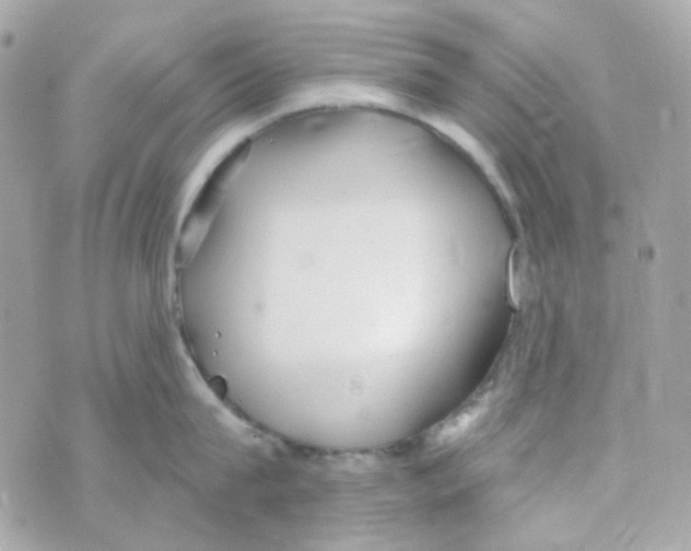 X0000069830815200606161939