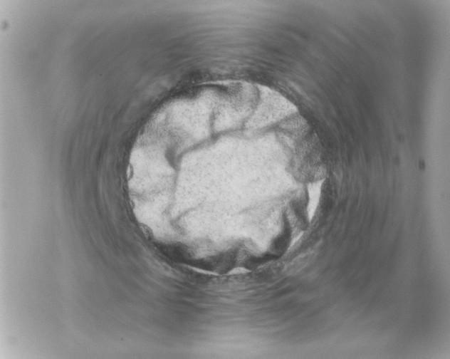 X0000069830817200606161938