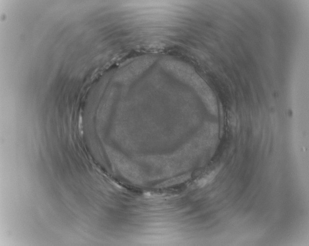 X0000069830818200606161938