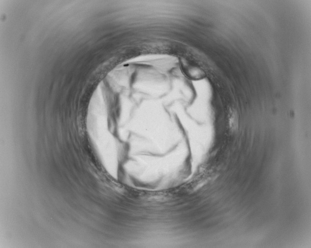 X0000069830819200606161938