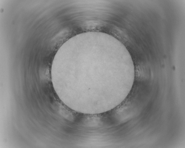 X0000069830820200606161938