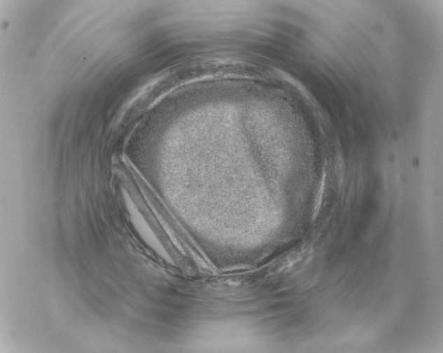 X0000069830823200606161938