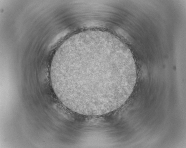 X0000069830824200606161938