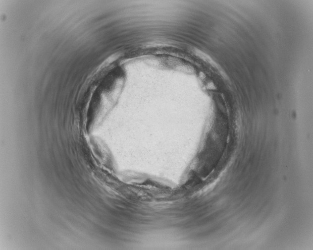 X0000069830825200606161938