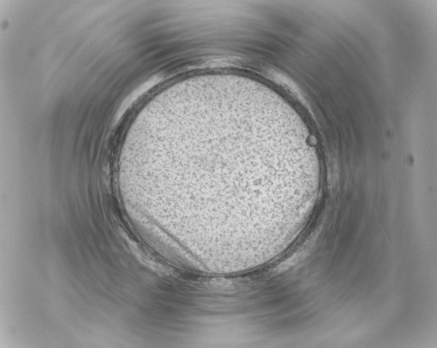 X0000069830827200606161938