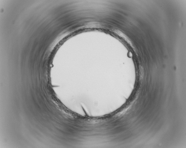 X0000069830829200606161938