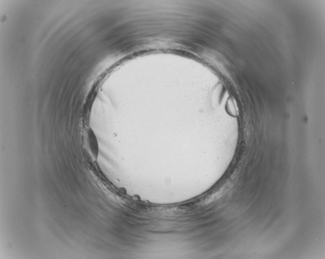 X0000069830831200606161938