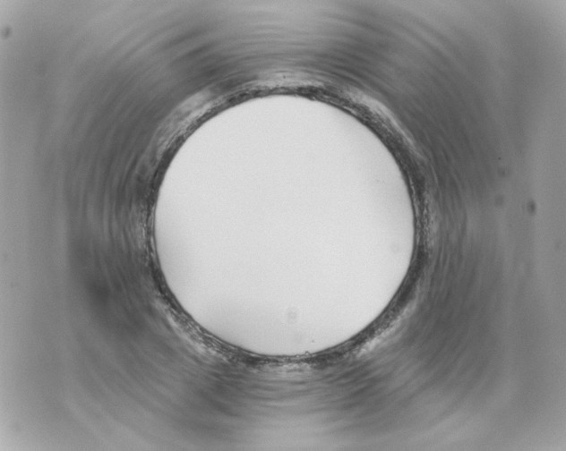 X0000069830833200606161938