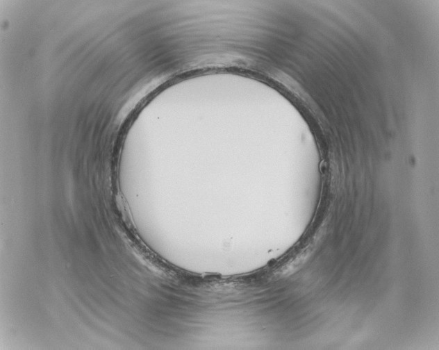 X0000069830834200606161938