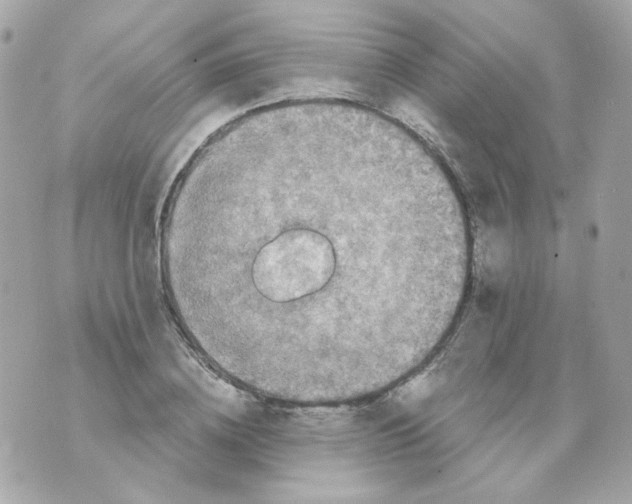 X0000069830836200606161938