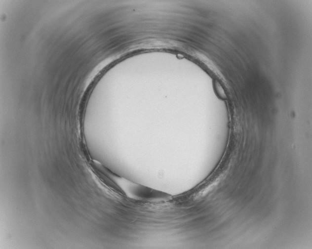 X0000069830837200606161938