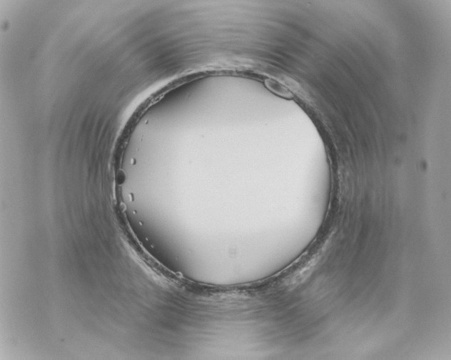 X0000069830838200606161938