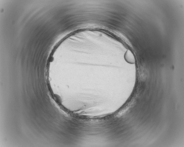 X0000069830839200606161938