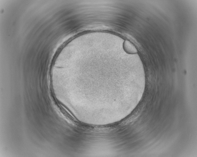 X0000069830840200606161938