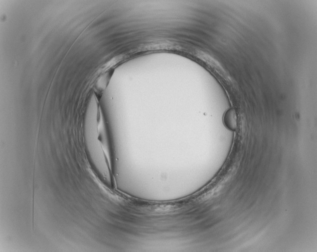 X0000069830841200606161938