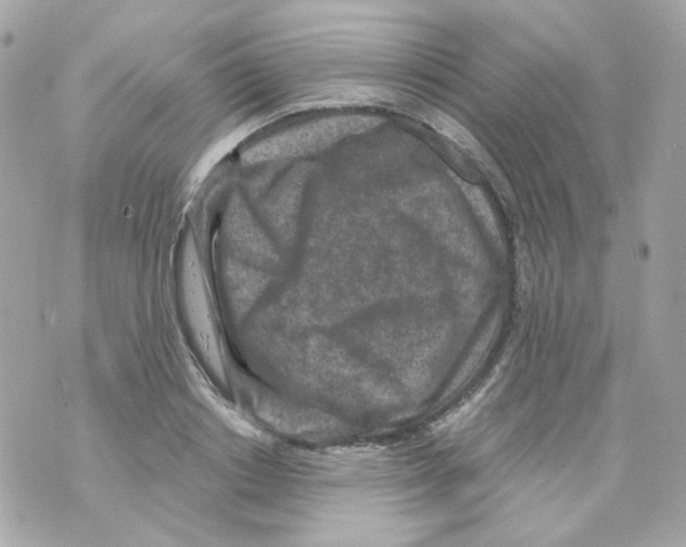 X0000069830842200606161938